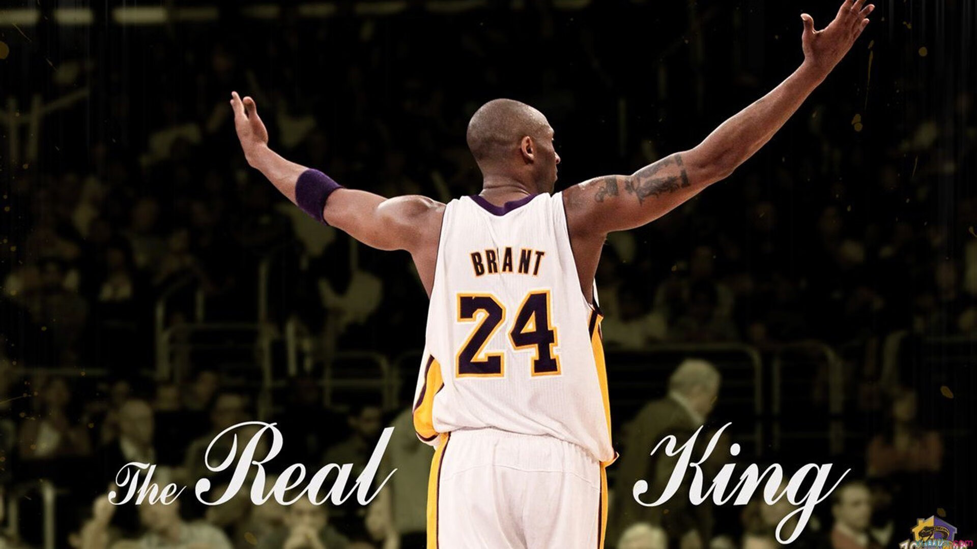 哈兰德回归赛场，高光表现首场状态亮眼，MAD观众沸腾！